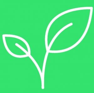 Un engagement écologique avec certifications ISO et PEFC